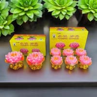 Lilin Teratai Isi 2 dan Isi 6